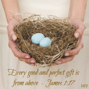 Every Good And Perfect Gift Faithgateway There's nothing worse than settling in for a good book and finding yourself consumed by the noisy distractions of the world around you. faithgateway