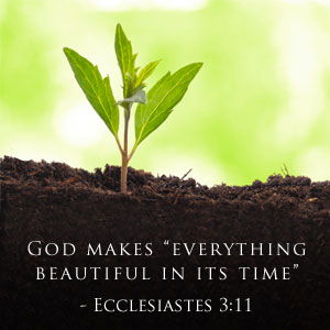 Ecclesiastes 3:11 God Makes Everything Beautiful